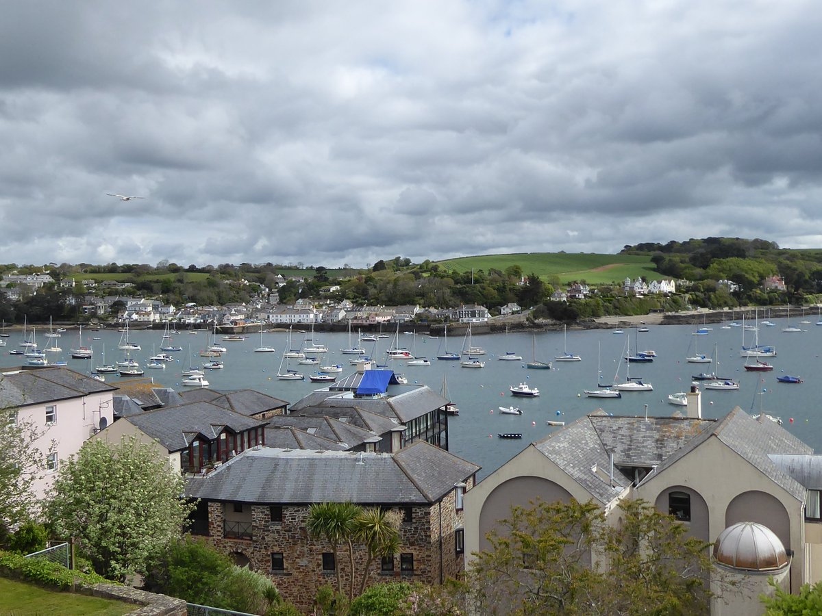 Steve McKenna tweet media