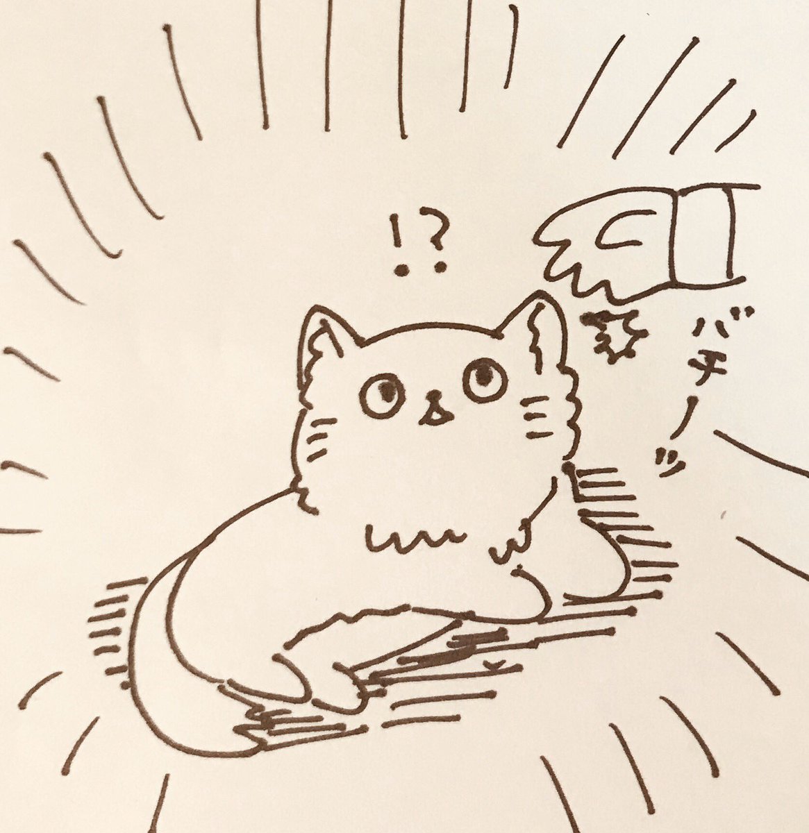 猫撫でてたら静電気起きてしまい
「お前…俺になにを…!?」みたいな顔で見られた…。ごめんよ…。 