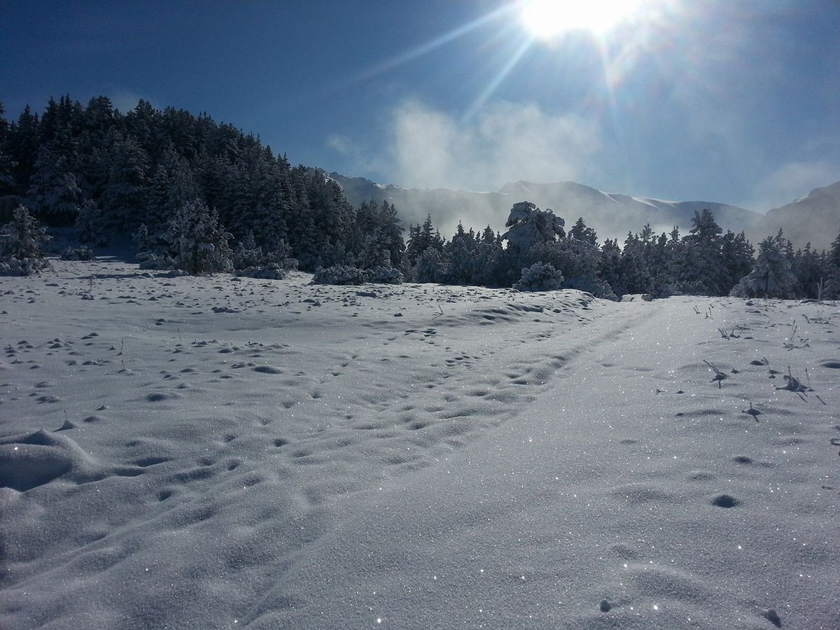 bio2care's tweet photo. Winter in #Rila #National #park, #Bulgaria.
Park section #Borovets.
#Photo: Ivan Elenchev https://t.co/YuXL5L7s0Y