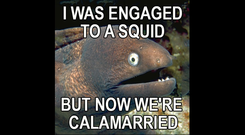 RovingSquid's tweet photo. #rovingsquid #joke #jokeoftheday #badjoke https://t.co/Jbu2Wq5dzL