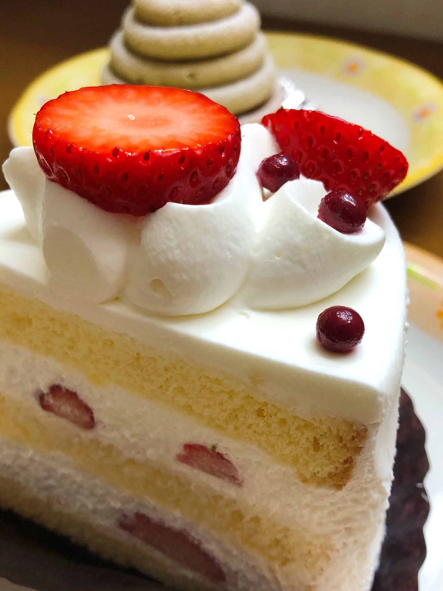M 藤原洋菓子店 ケーキ屋さん モンブラン 最高最強美味い 苺のショートケーキ 大変美味しくいただきました超オススメ 岡山 県岡山市南区植松575 1 T Co X7utt7nc58 Twitter