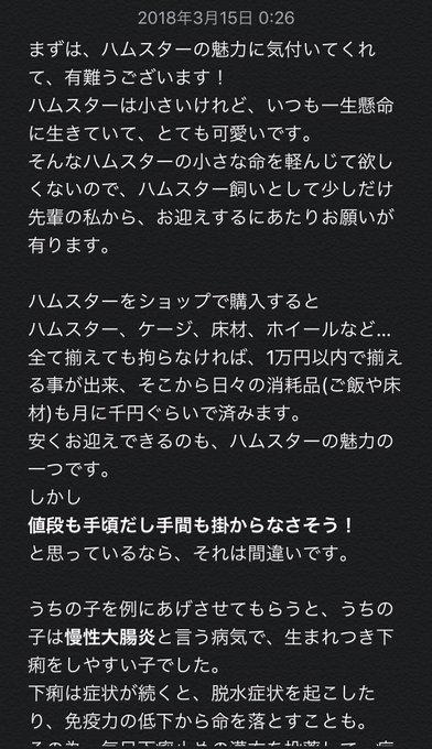 ハムスター 高画質 のtwitterイラスト検索結果