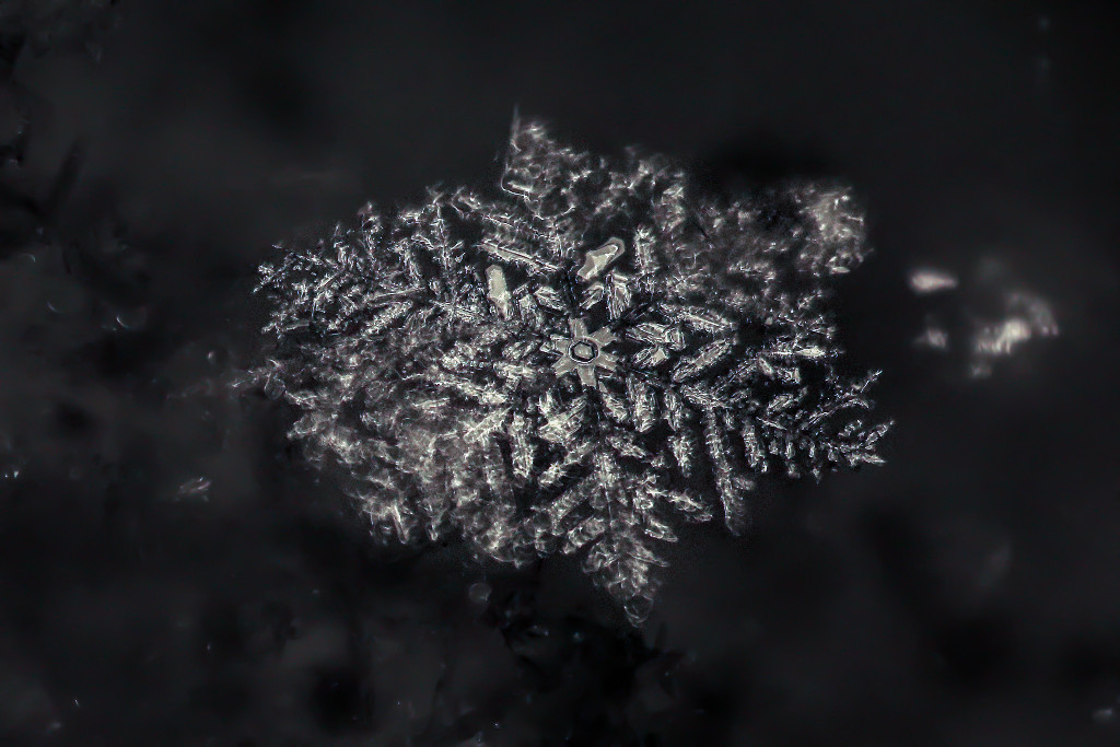 Van’da yağışın ardından makro lens ile çekilen kar kristallerinin birbirinden farklı, ilgi çekici karmaşık yapıları görenleri kendine hayran bırakıyor