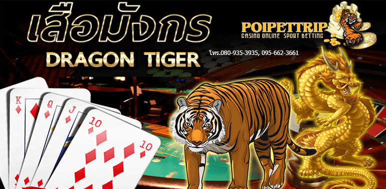 poipettrip's tweet photo. “ไพ่เสือมังกร” TIGER DRAGON เพราะเป็นเกมที่มีกติกาการเล่นที่ไม่ซับซ้อนสามารถเข้าใจง่าย
#สมัครเล่นไพ่ใบเดียว #เล่นเกมไพ่เสือมังกร #เล่นไพ่เสือมังกร #ไพ่เสือมังกร https://t.co/goJnTvQzUM
