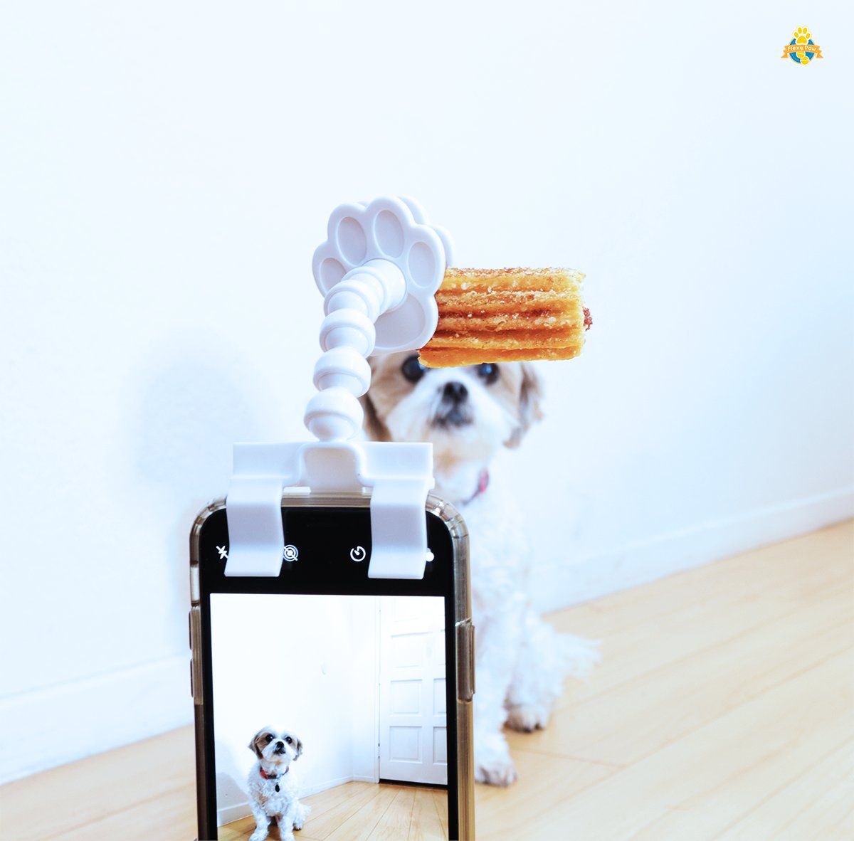 PawChamps's tweet photo. Anyone want a mini churro stuffed with caramel?

#FLEXYPAW #dogs #dogstagram #dogsofinsta #dogsofinsta #petsofinsta #petsofinstagram #petsofinstagram #poochselfie #dog #puppies #phodographer #foodie #doggo #churro # https://t.co/LNfvA5keAJ