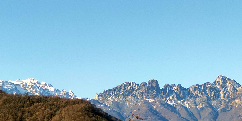 Biosphaera tweet media