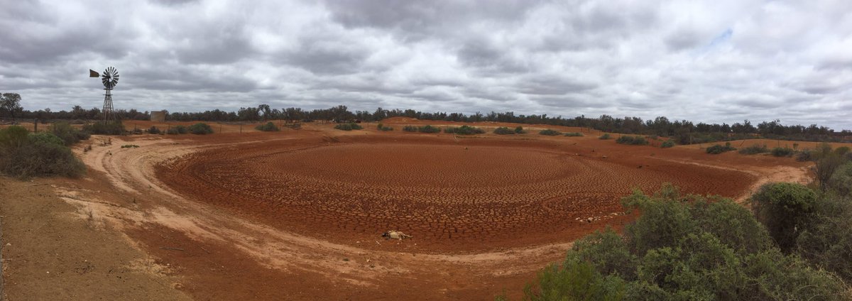 Ontourozmkh's tweet photo. Dams are dry and and Animals die ! https://t.co/aBOOy52pGA