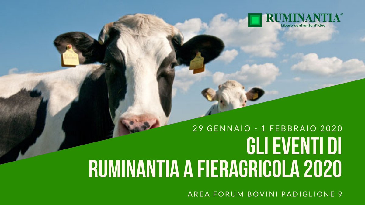 Ruminantia tweet media