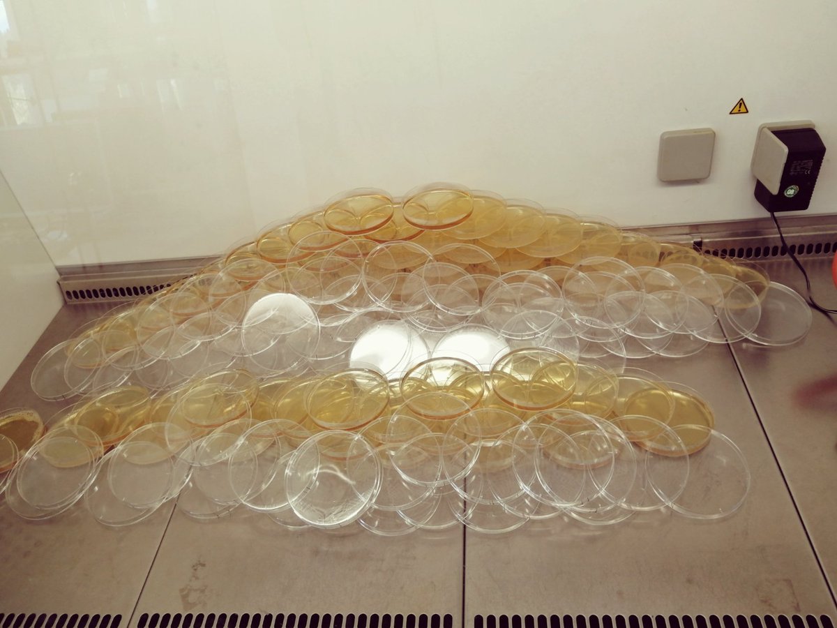 VasviChaudhry's tweet photo. Microbial mensa (cafeteria).
#microbialfood #microbes https://t.co/YSuY5IUxKn