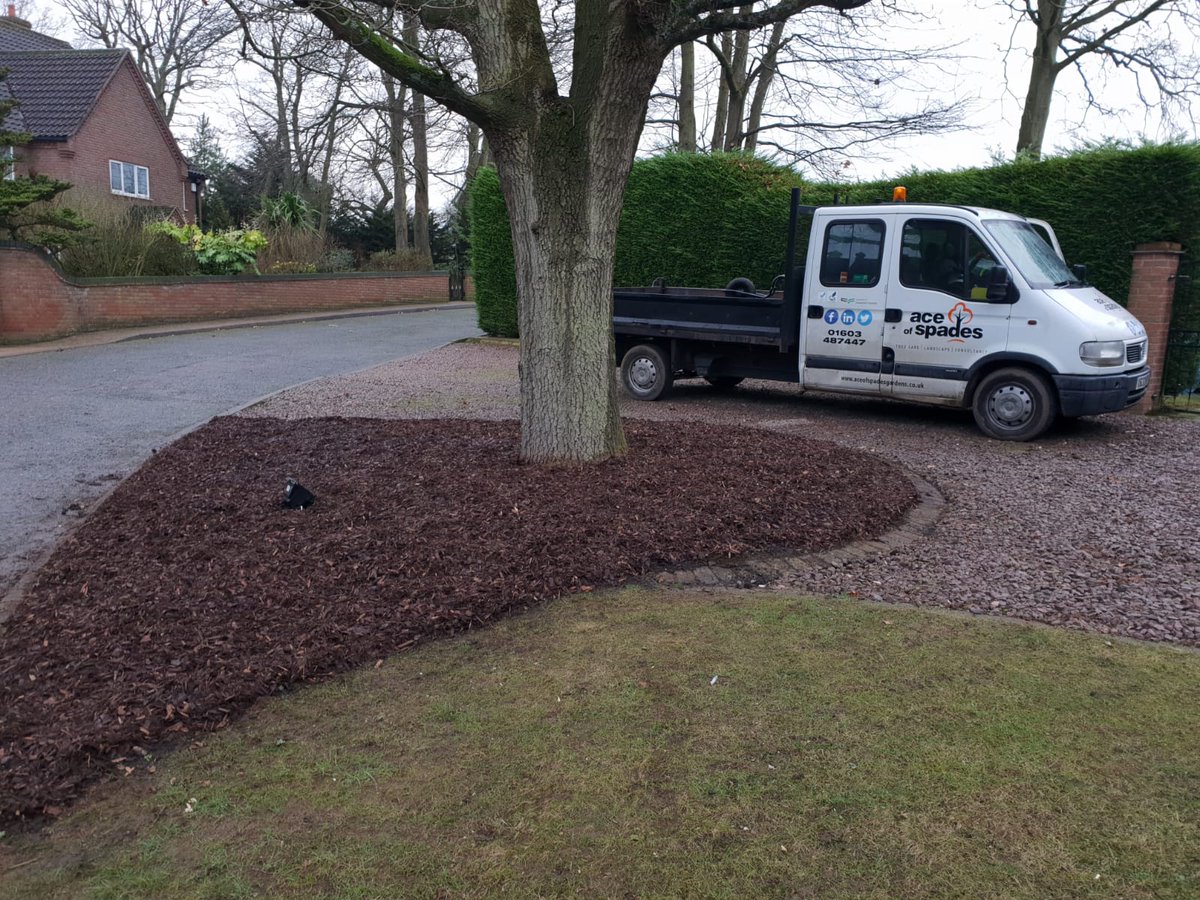 Mikeaceofspades's tweet photo. Oak Tree which had been airspaded...

Owen applies biochar and Jack rakes in back fill...top dressed with mulch...part of improving tree health of major urban Oak Tree in Taverham, near #Norwich

#TreeCare https://t.co/rKBhe5fFKX