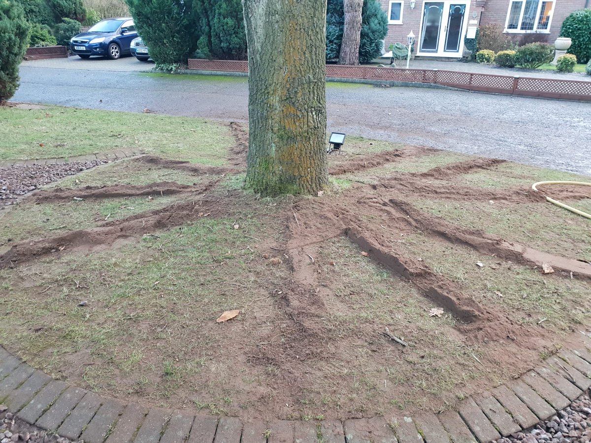 Mikeaceofspades's tweet photo. Oak Tree which had been airspaded...

Owen applies biochar and Jack rakes in back fill...top dressed with mulch...part of improving tree health of major urban Oak Tree in Taverham, near #Norwich

#TreeCare https://t.co/rKBhe5fFKX