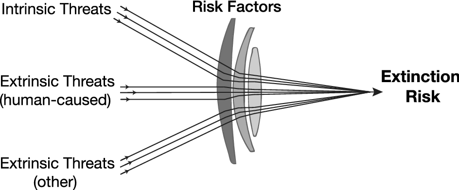 TMTSpringer's tweet photo. Linking the seven forms of rarity to #extinction threats and risk factors: an assessment of North American #fireflies 💡https://t.co/He5z5kimR2💡 #SNBIOC #BiodiversityConservation #SpringerNature #IUCN #extinctionrisk #Lampyridae #fireflybeetle #Coleoptera #populationviability https://t.co/cgwHUIcFeo
