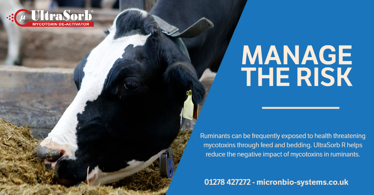 Feed_Additives's tweet photo. Manage the risk. Reduce the impact of mycotoxins. #mycotoxins #MycoCheck https://t.co/kLjqJPkmLk