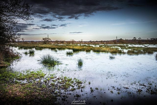 ChooksTwo's tweet photo. Water mirror 📸 -💧l 🌥

#landscape #beautifullandscape #photography #wild #wildlife #igersfrance #igersnantes https://t.co/bprRDoN2J6 https://t.co/Nt5A1AbBzX