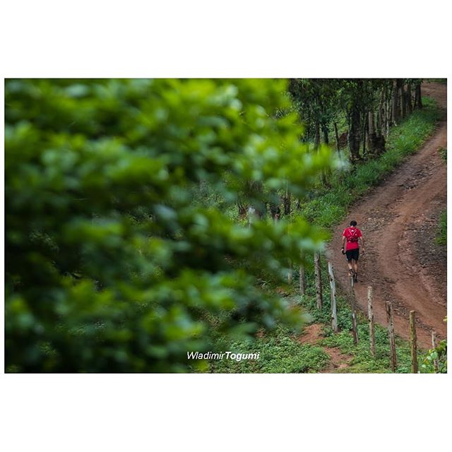 wtogumi's tweet photo. ladeirasdapenha Santa Isabel 2020.
#trailrunning #trailrun #adventuremag #advmag #epicfotos #epicfotosbrasil https://t.co/NXrAEkmwjw