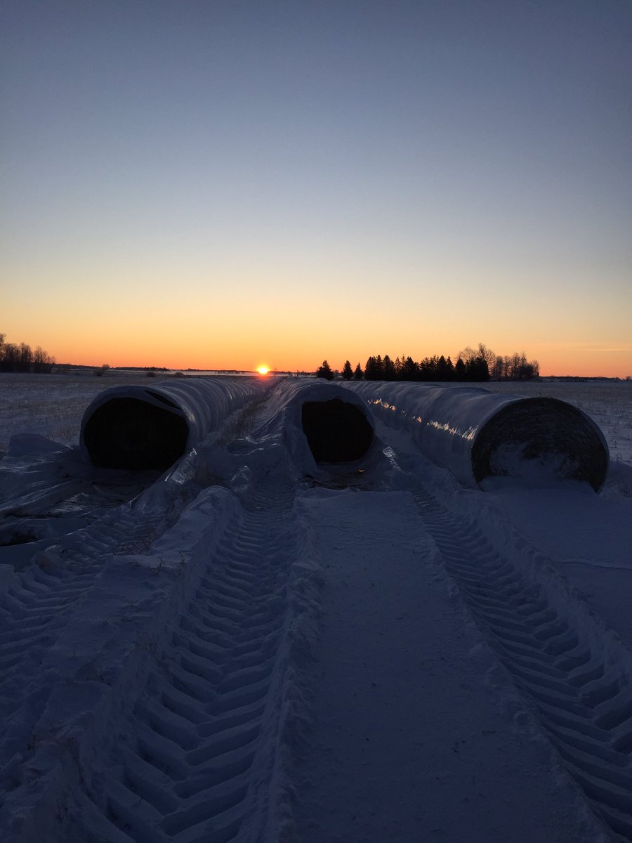Beautiful crisp -16c morning ⁦<a href="/WildernessRanch/">Wilderness Ranch</a>⁩ this morning! ⁦<a href="/erbshon/">John Erb</a>⁩ .
