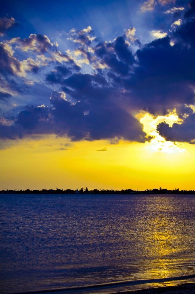 Cuando la naturaleza es sabia: