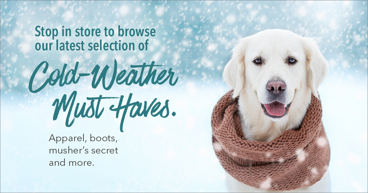 PetPeopleStores's tweet photo. Coats &amp; Sweaters are now 25% off! Be sure to show us your pet's winter look!  ☃️

#dogfashions
#catfashions
#winterisfinallyhere https://t.co/hYBfXrFTb5