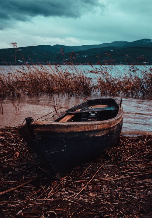 mojopapas's tweet photo. "ich bin dein pier"
played by 'sounds of niederrhein'
with fotos by Emre Kuzu, Istanbul 
https://t.co/AGNn3OHFwm
#musicworldwide #freedomofsoul https://t.co/CPpz2dUzXm