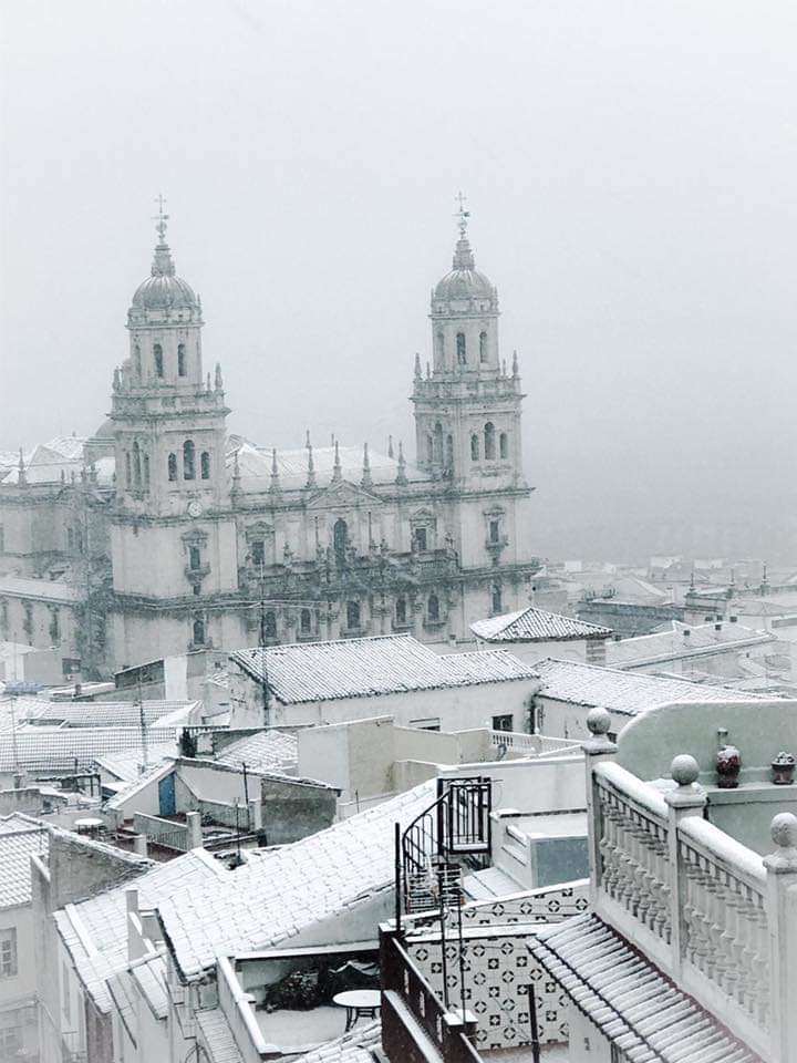 Bonita estampa  🌨️❄️