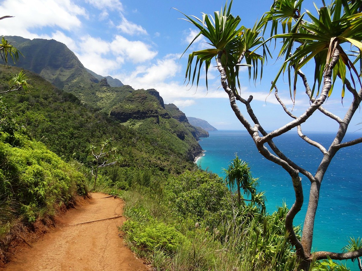 PillingerWorld's tweet photo. 🇨🇦EASTERN CANADA🇨🇦
Canada Hawaii &amp; San Francisco 2021 Holiday!

June/September 2021
£2,365pp based on 2 adults for 17 nights
Return flights from the UK
Internal flights
All accommodation 

https://t.co/fgbemcJXMs https://t.co/Qhw9NobS17