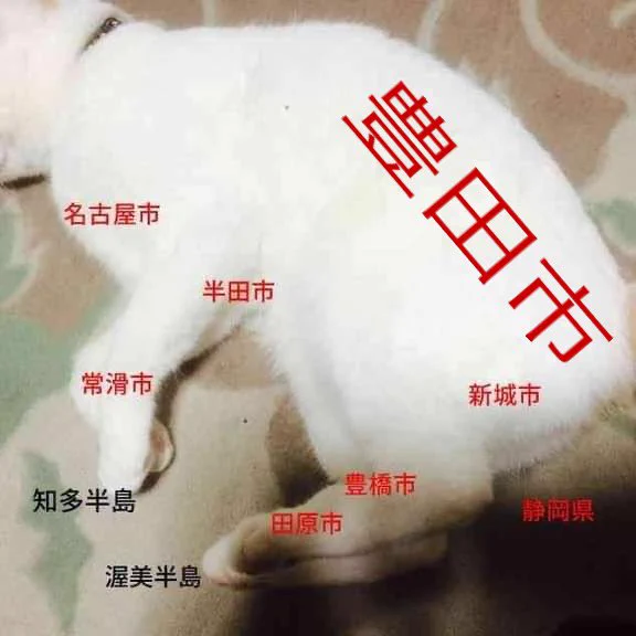 @nagi__0223 みゃーみゃー県の真実 
