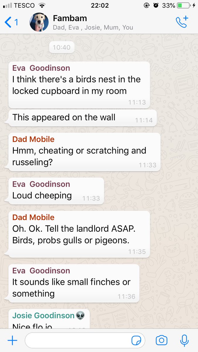 mlliei's tweet photo. Student accommodation https://t.co/0g06fSawbq
