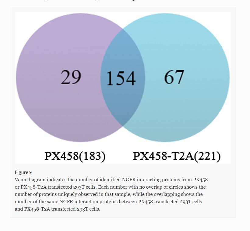 CMBEjournal's tweet photo. Chen et al. explore gene expression and potential side effects of CRIPSR/CAS9 in 293T cells. @FuZUniversity #LinLab
https://t.co/sZiScgdKbQ https://t.co/DRCy1QZ6a7
