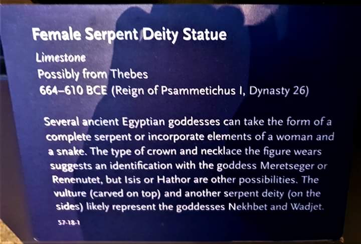 Horus Rising tweet media