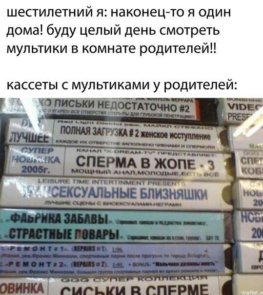 Haxxie_r6's tweet image. 