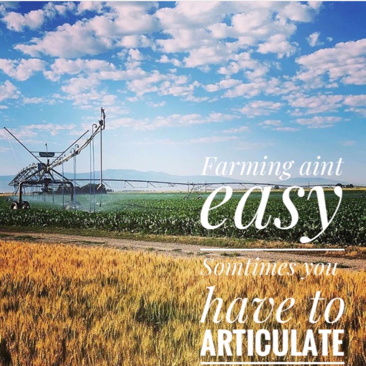 #motivationmonday 
#farming #trellisinc #startup #IOT #irrigation #farm365 #agtech #irrigationmanagement #moistureprobes