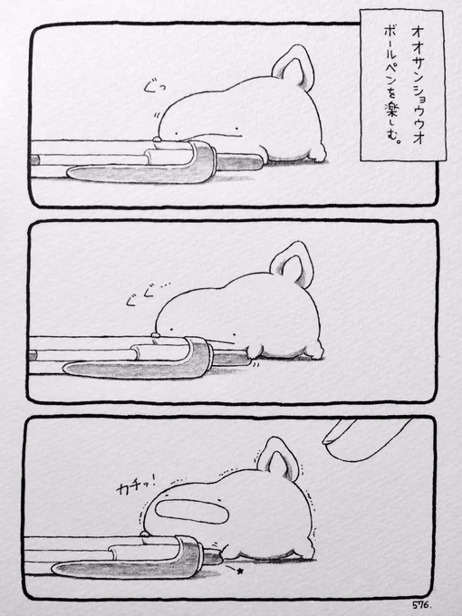オオサンショウウオ、ボールペンを楽しむ。 