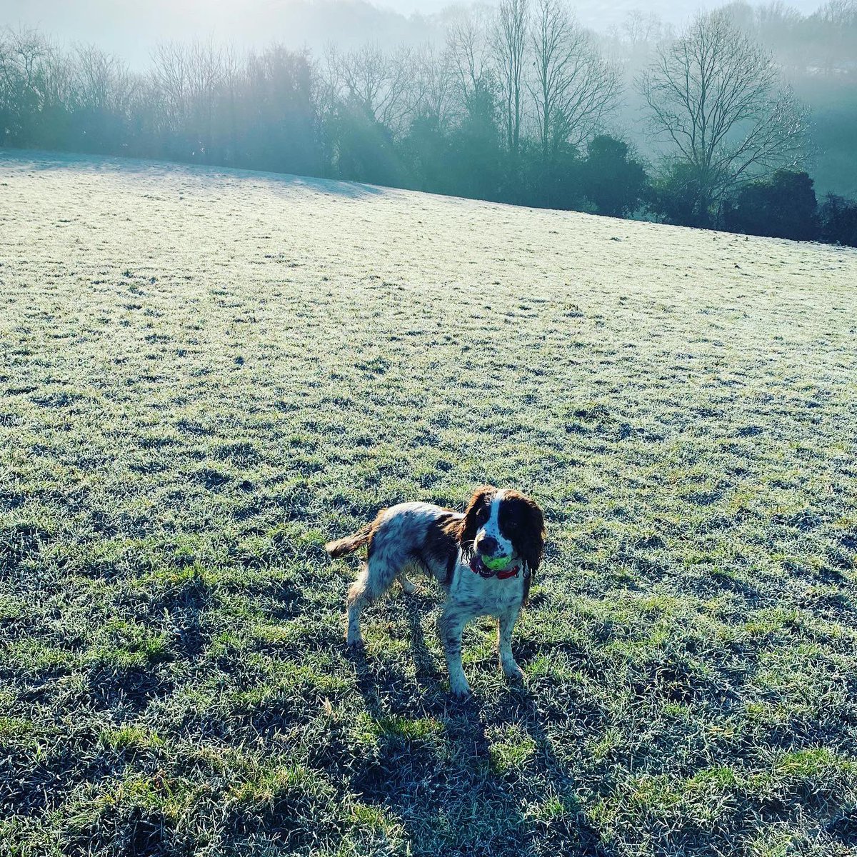 JohnMooreSports's tweet photo. No blue Monday here - beautiful walk into work this morning ❤️❤️❤️ so lucky to have this amazing countryside on our doorstep #beautifulbath #familybusiness #shoplocal #bathwickhill #bathskyline https://t.co/sljpHLPYtV