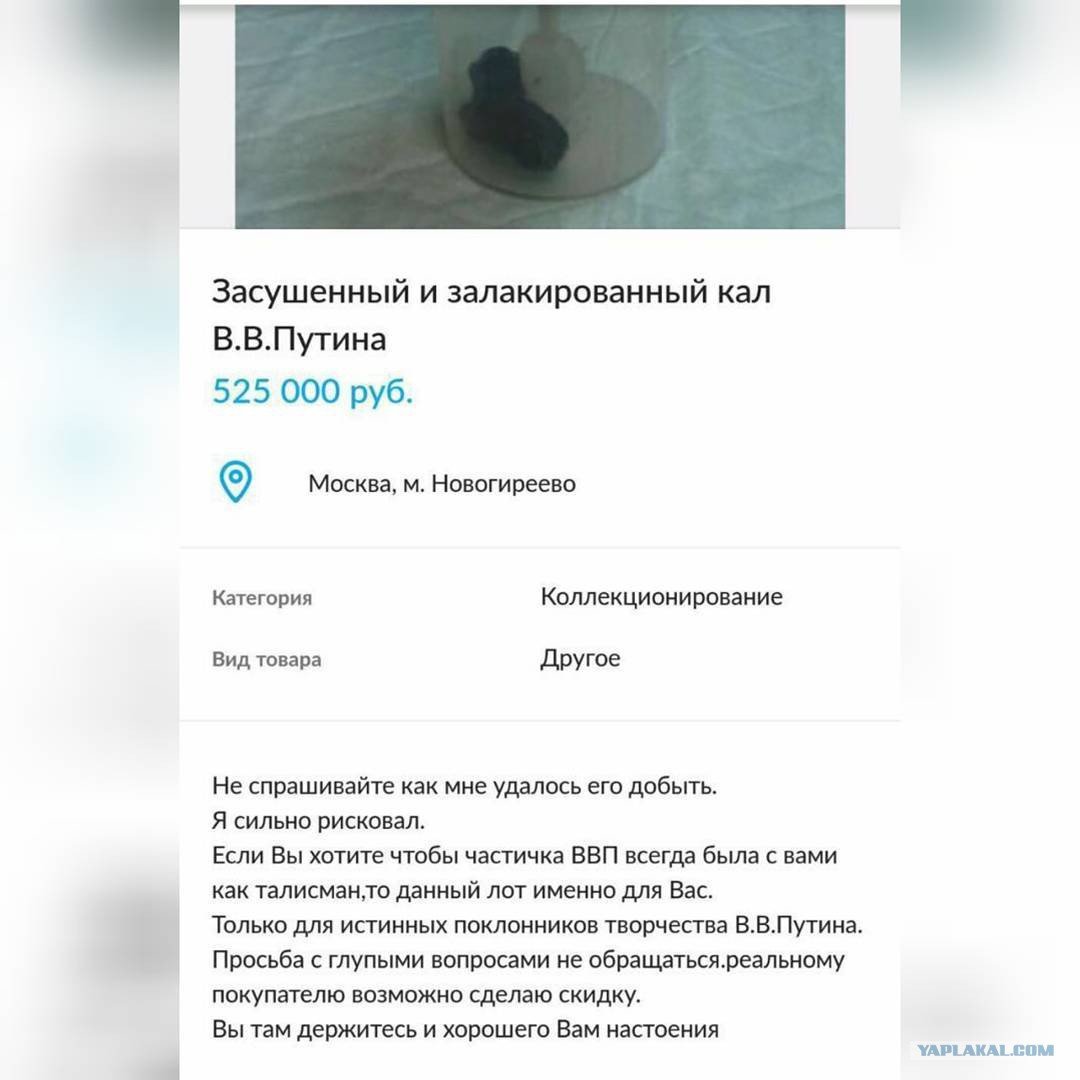 EOuntOBX4AAovuU?format=jpg&name=medium