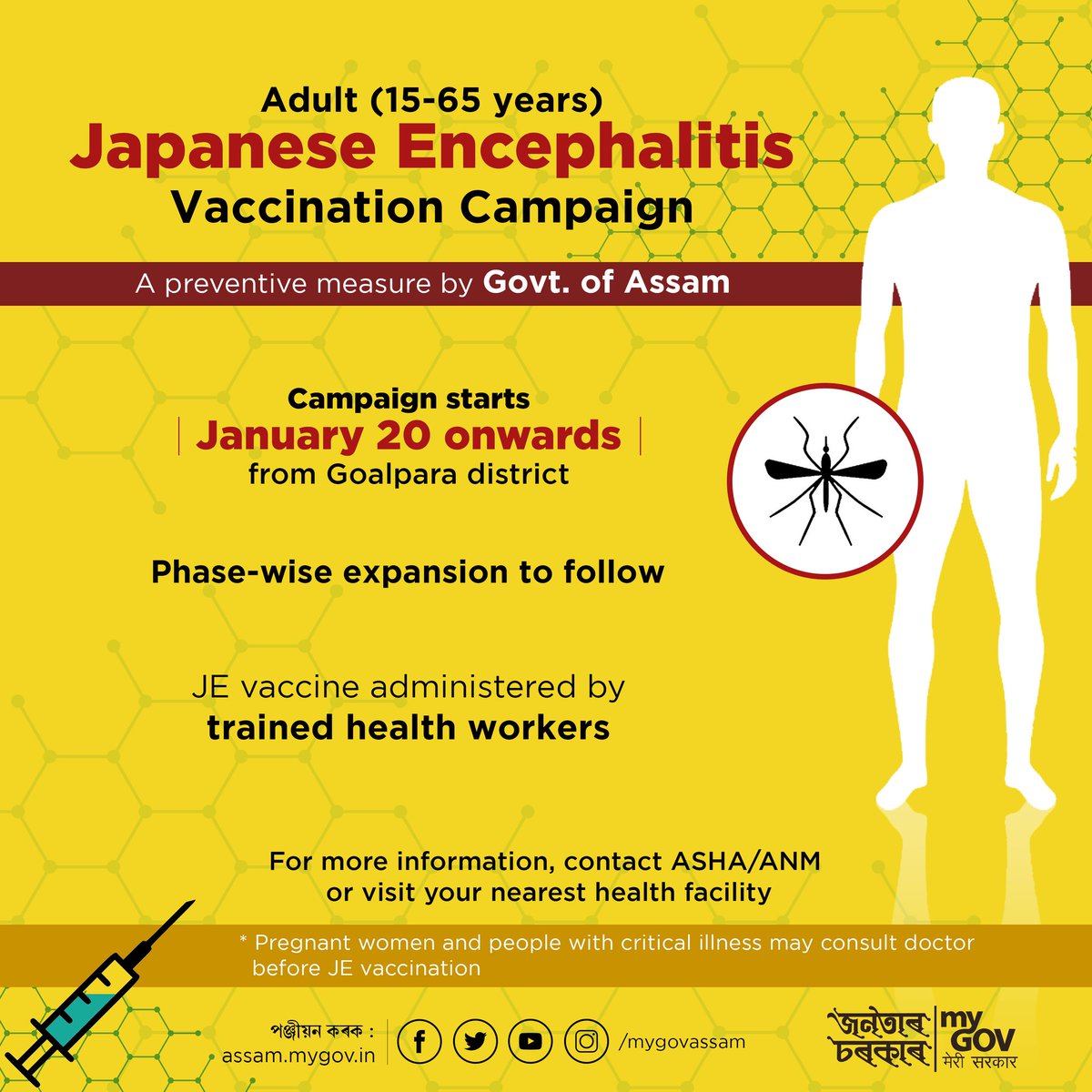 Japanese encephalitis vaccine