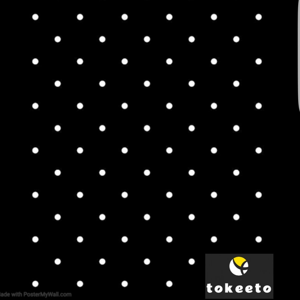 tokeeto's tweet photo. IT'S MONDAY 
"Get a new perspective, 
 you only fail when you stop trying"
#TOKEETO#Tokeetotravels https://t.co/V6ddsjMyhA