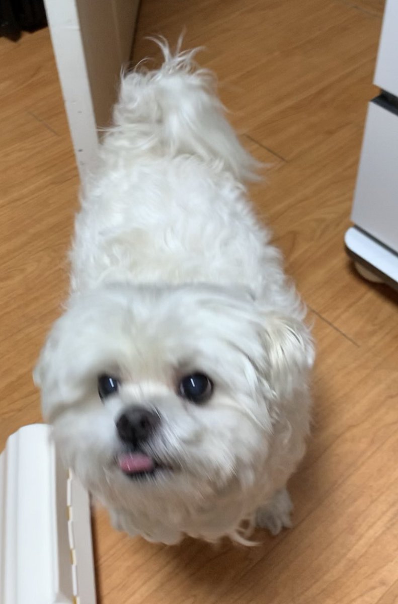 2e_lucky's tweet photo. 초롱초롱 ✨ https://t.co/9DcvpTBNJr
