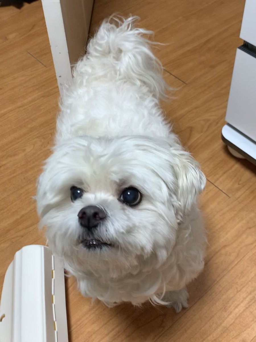 2e_lucky's tweet photo. 초롱초롱 ✨ https://t.co/9DcvpTBNJr