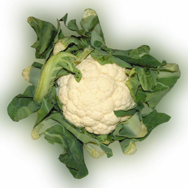 Vi slår ett slag för träd, gräs, pelargon, kål, gurka och ärta och allt annat som växer! Så ett frö, plantera en kruka, bruka och skörda av hjärtans lust – lika naturligt som att andas. Det är bland annat så vi ser till att planeten håller balansen. 🥗
.
.
.
.
.
#skördetid #b…