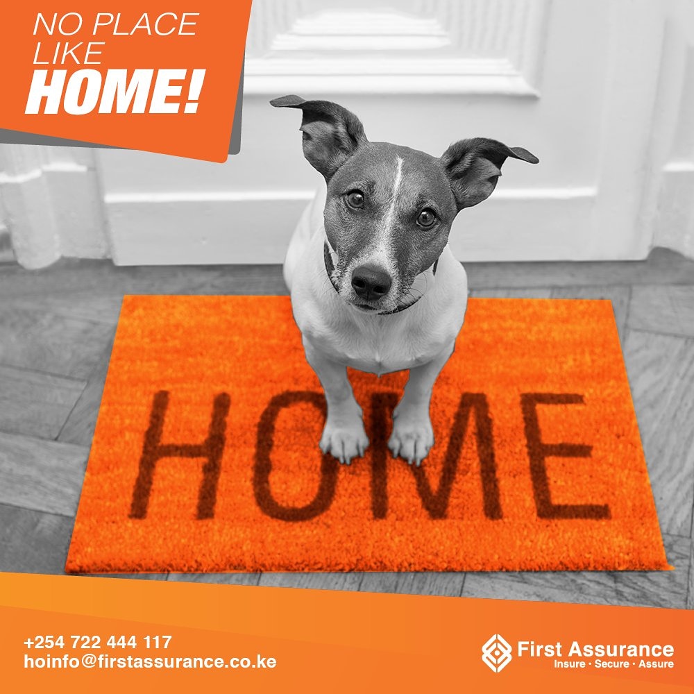 First_Assurance's tweet photo. We will make sure you feel safe and secure in your own home.
Call us on +254722-444117/ +254733-605480 for more information on our home insurance.
#Insurance #Firstmedical #homeinsurance #safe #secure #Insurancelife #insurancecoverage
https://t.co/pWKWfXO2l6 https://t.co/7T8AFCndnQ