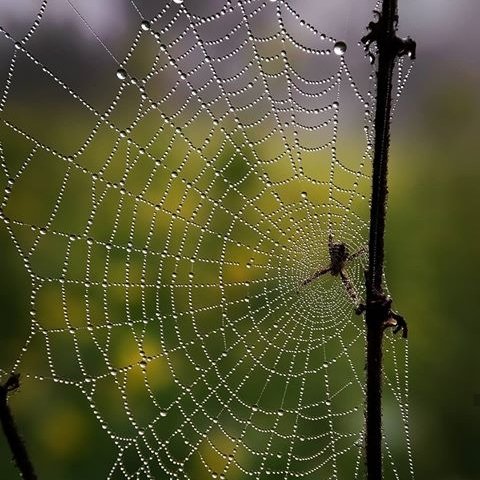 사람들은
자신의
고정관념에 갇혀산다

나쁜 고정관념이
그 사람을 망치게 된다