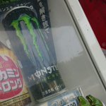 ついつい奢ってあげたくなる？!モンスターエナジーをじっと見つめるカエルたち!