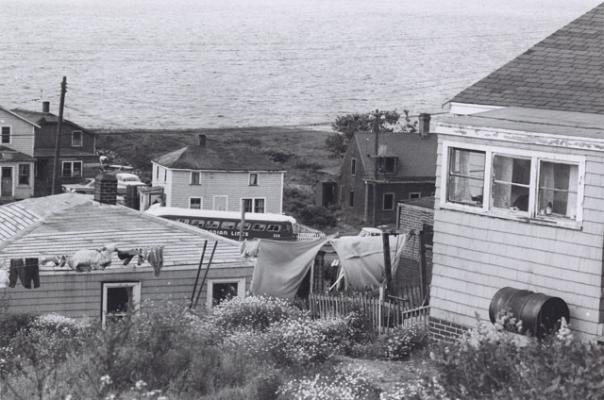 #NovaScotia Heritage Day -Feb 17/20 
Takes place the 3rd Monday in February, each yr significant cultural &amp; historical contributions made by a person, place, or culture is honoured. 
For 2020, the province honours the community of Africville.
Learn more: heritageday.novascotia.ca