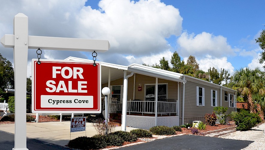 Cypresscove Hashtag On Twitter