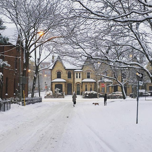 TylerLoewen's tweet photo. Snowy walk to work. ❄️😁 https://t.co/lBhfmYiln0 https://t.co/IwIB3Ax3kl