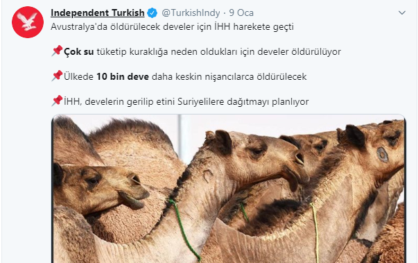 Bu Flood insana İman tazeletir! 

Kuran'da ne çok hikmet var farkında değiliz..

Önce Develer çok su tüketiyorlar diye Rızka kefil olan Allah'ı yok sayarak 10 bin deveyi öldürmek istediler. +