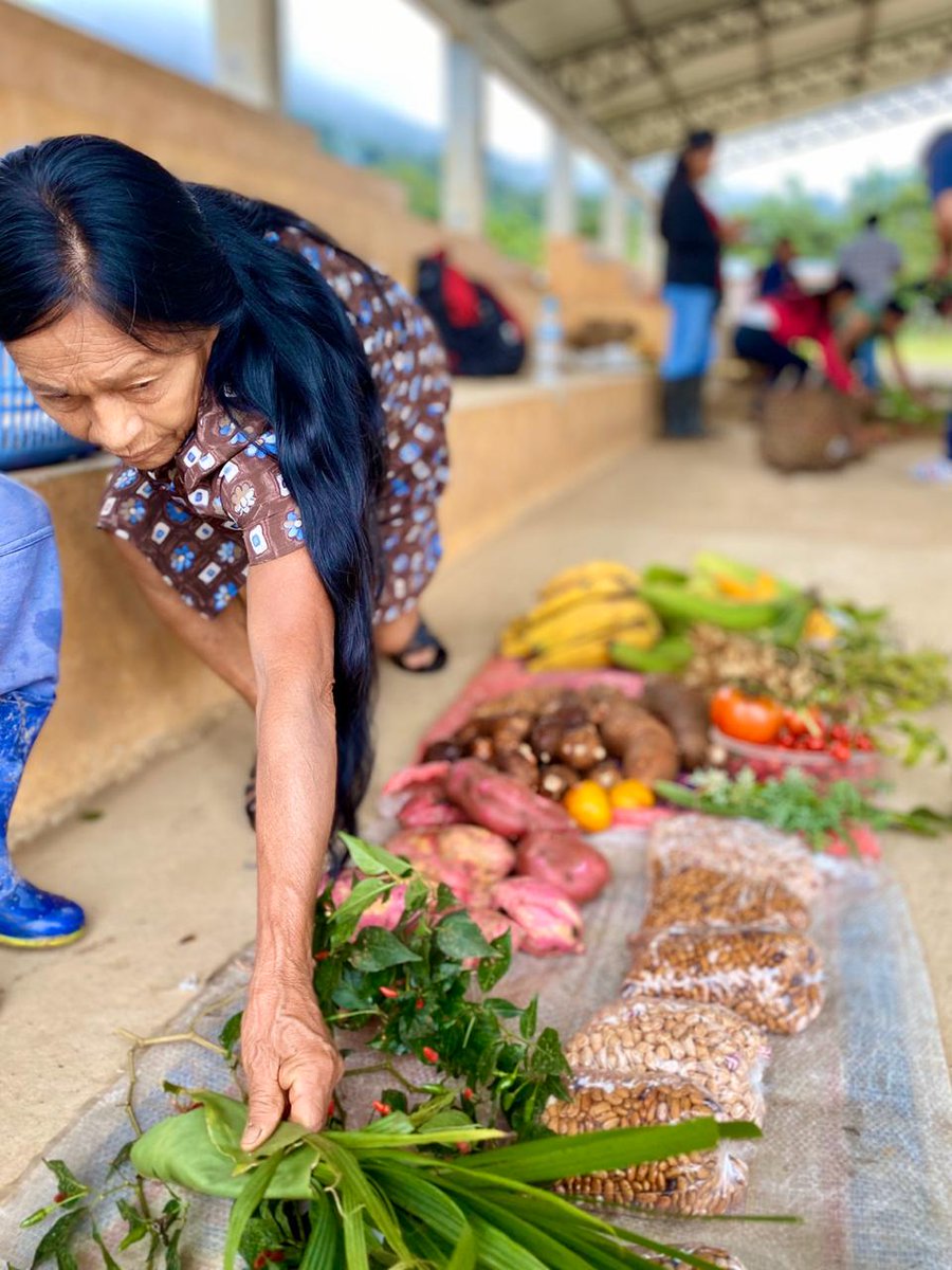 PPDEcuador's tweet photo. Gracias al Consejo de Gobierno del Pueblo Shuar Arutam, visitamos la asociación Arutam donde conocimos sus prácticas, cánticos e historia detrás de la producción de plantas medicinales desde las Ajás Shuar. @GEF_SGP @AldeaFundacion https://t.co/ImgGU6Q19R