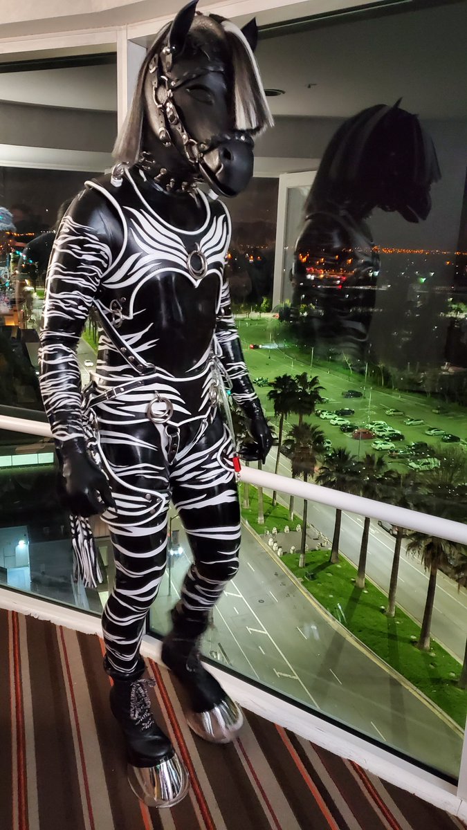 From FurCon 2020.  Nice view!   Photos by @JasperHoss