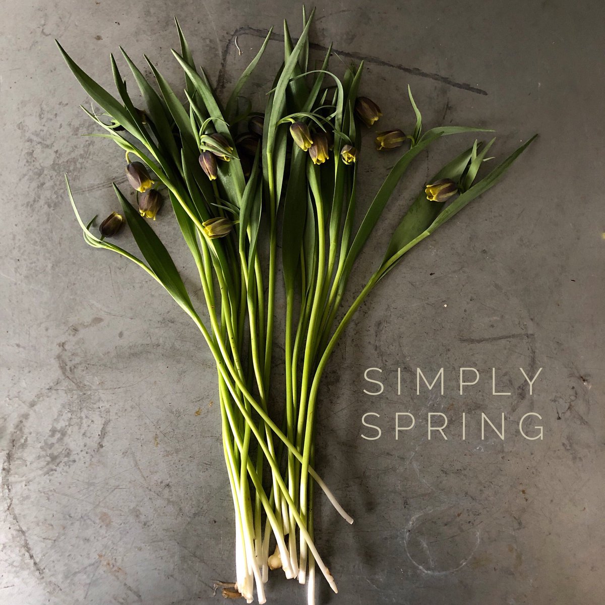 SimplyByArrangement tweet media