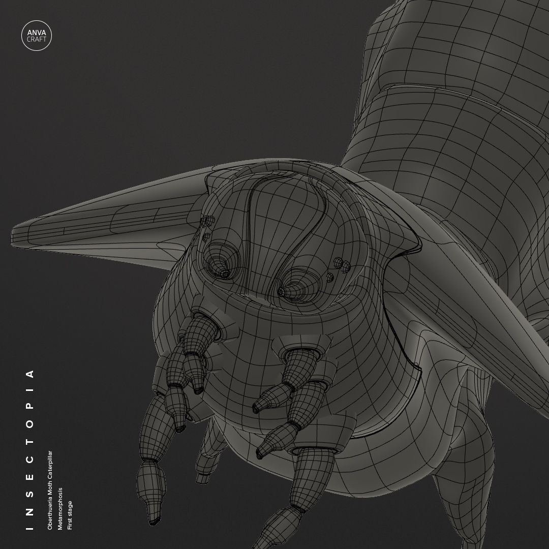 ANVACRAFT's tweet photo. I decided to show you a little process.
This is the new Oberthueria Moth Caterpillar project.
#anvacraft #insectopia #mecha #robot #conceptdesign #concept #design #robotdesign #cyber #moth #mothcaterpillar #caterpillar #hardsurface #3dmodeling #3dconstructing #fusion360 #3d https://t.co/q5eK4jV1nY